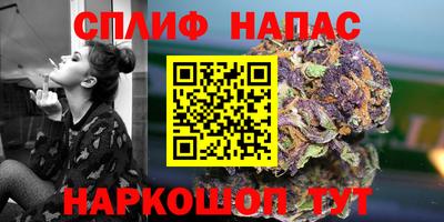 прущие грибы Железногорск