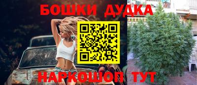 прущие грибы Железногорск