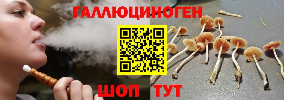 Муром  Галлюциногенные грибы Psilocybe  Псилоцибиновые грибы Psilocybine cubensis  Вход с VPN 