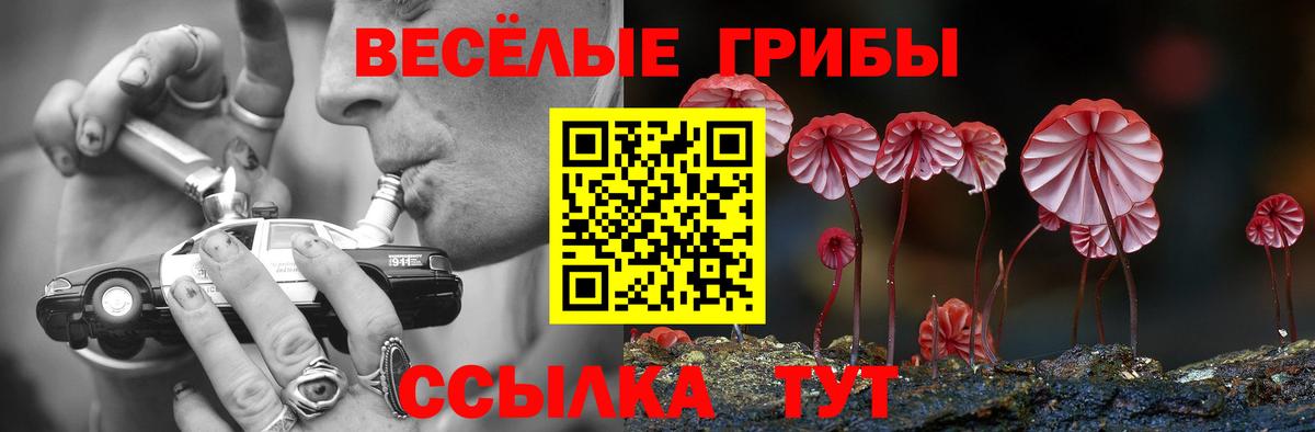 Псилоцибиновые грибы GOLDEN TEACHER Муром